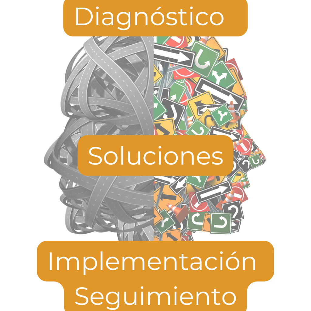 Basicos del Management